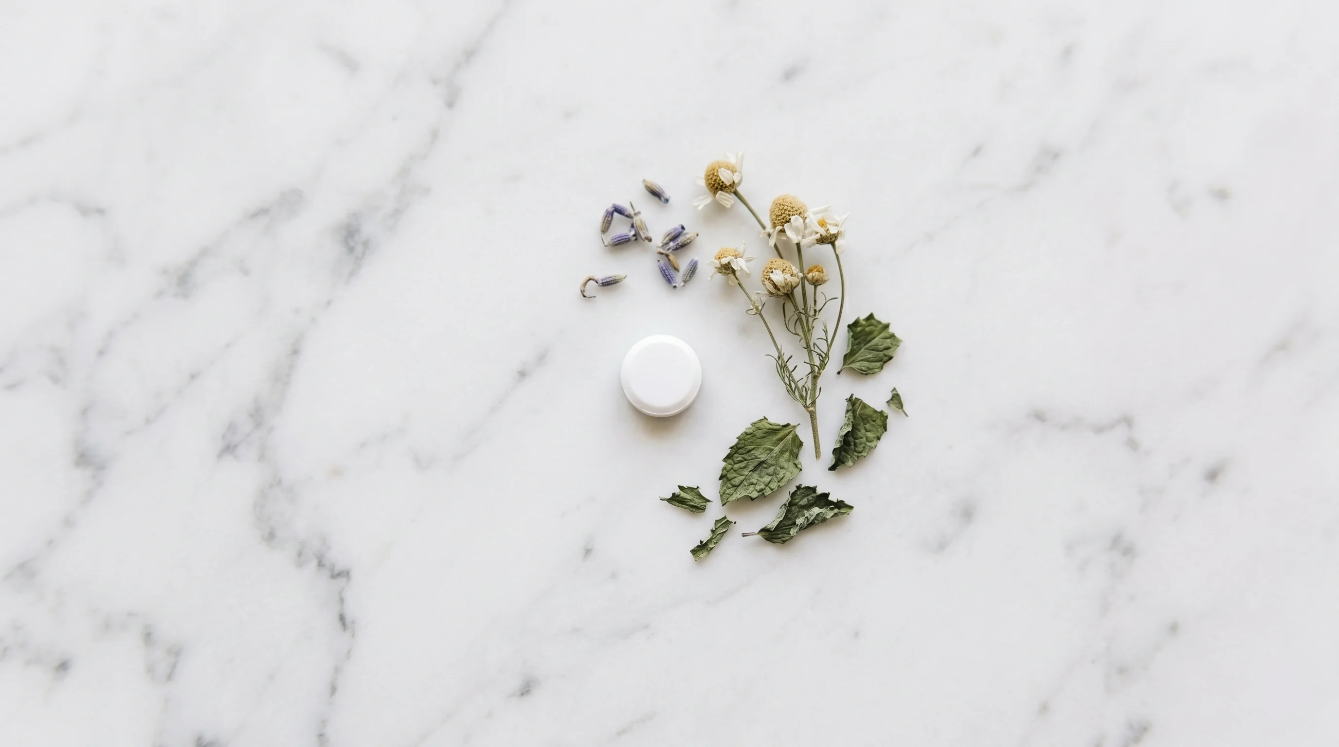 GLP-1受容体作動薬と漢方薬の併用を解説する記事イメージ